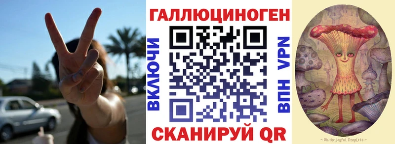 Галлюциногенные грибы Cubensis  что такое   Урус-Мартан 