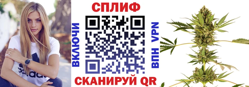 маркетплейс официальный сайт  наркота  Урус-Мартан  Марихуана конопля 